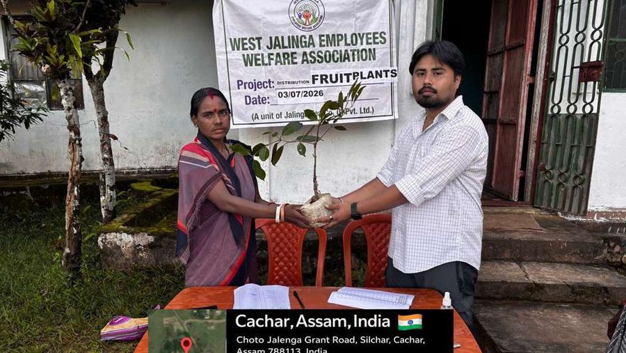 A fruit sapling handed to a worker